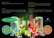 Load image into Gallery viewer, Latino Moxito Erdbeere 12 x 330ml - Kohlensäurehaltige Limonade; alkoholfreie Soda; hoher Saftgehalt; pur oder als Mixgetränk (inkl. Pfand 3€): Erdbeere und Limette